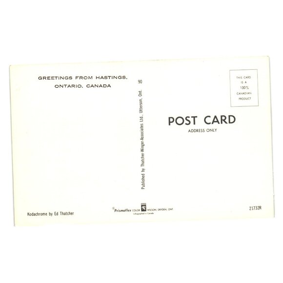 Greetings Hastings Ontario Canada Scenic Vintage Postcard Roadside Tourism Lake - Picture 2 of 2